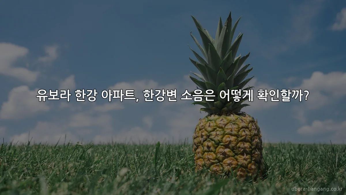 유보라 한강 아파트, 한강변 소음은 어떻게 확인할까?