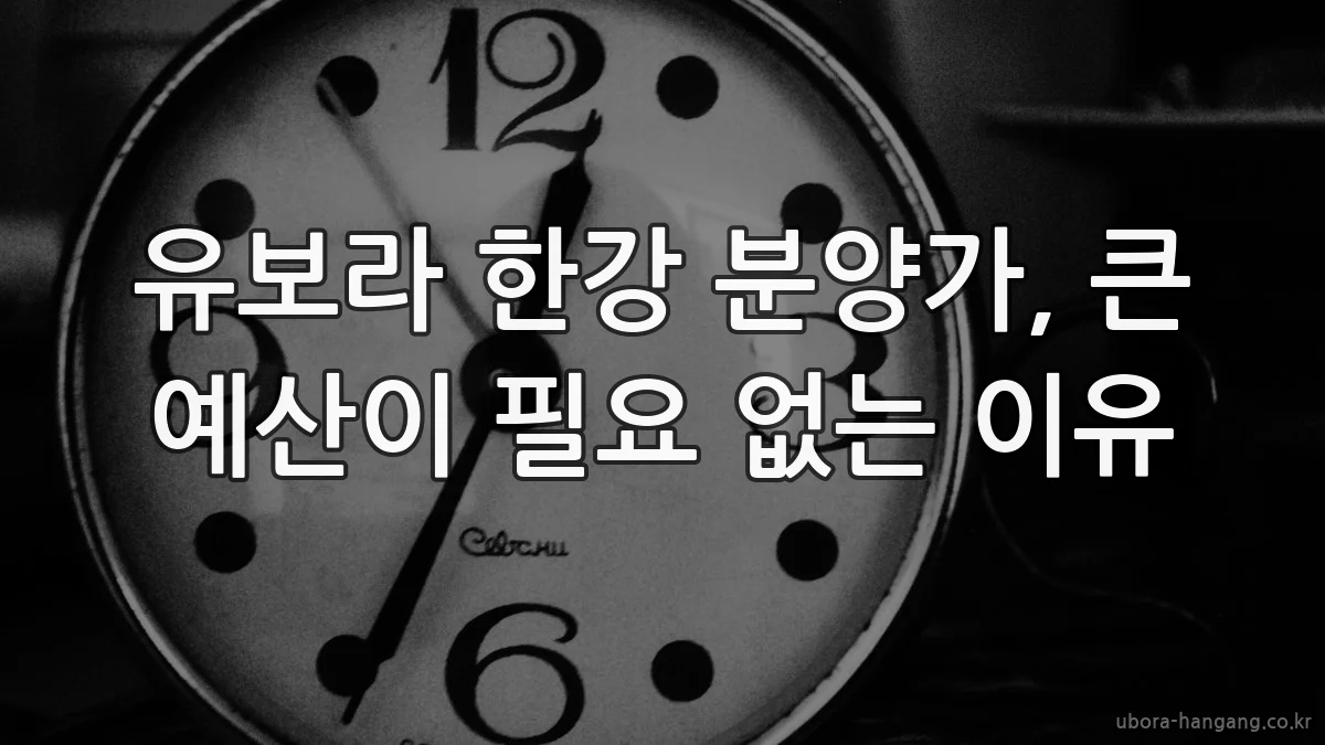 유보라 한강 분양가, 큰 예산이 필요 없는 이유