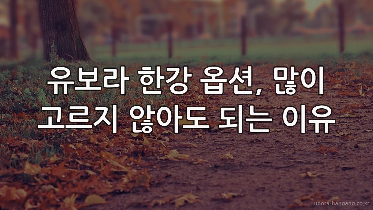 유보라 한강 옵션, 많이 고르지 않아도 되는 이유