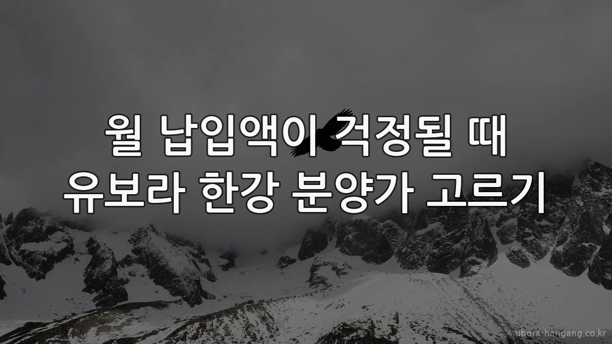 월 납입액이 걱정될 때 유보라 한강 분양가 고르기
