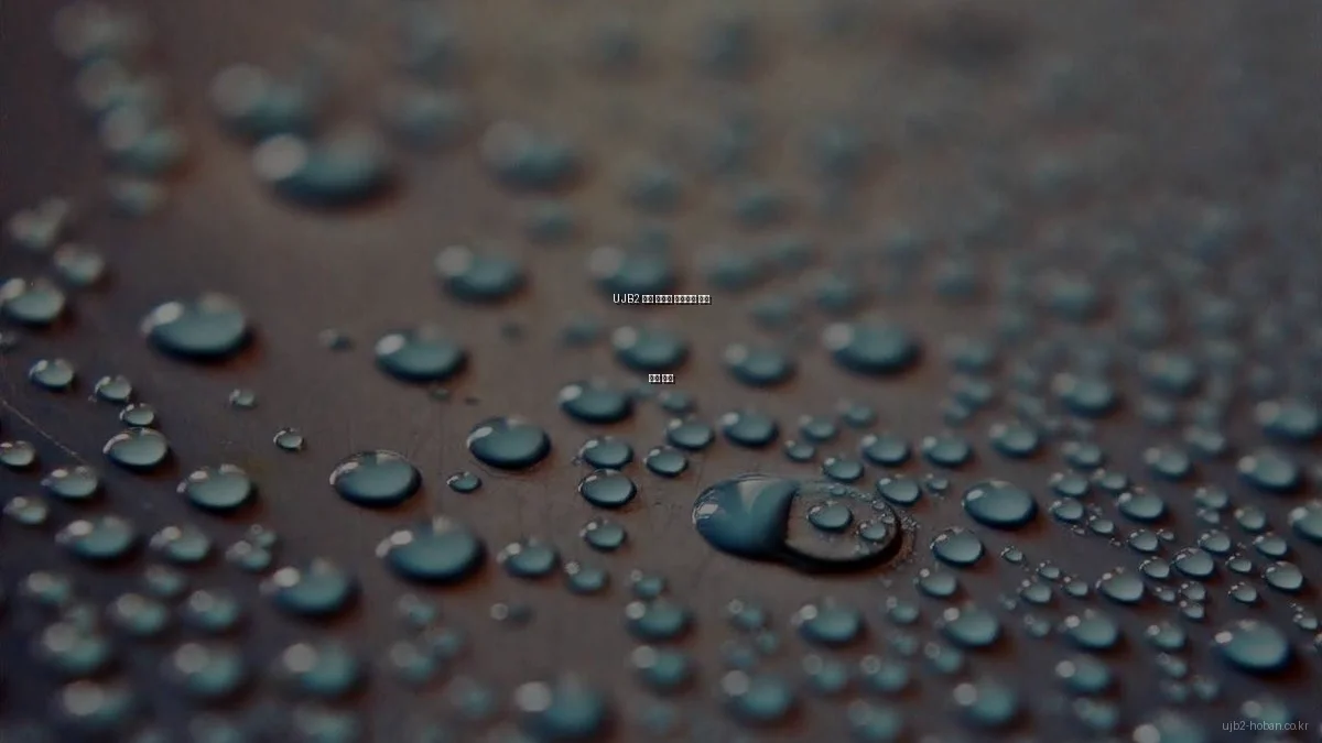 UJB2 호반 아파트 인테리어 옵션 비교 분석