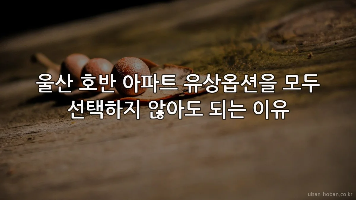 울산 호반 아파트 유상옵션을 모두 선택하지 않아도 되는 이유