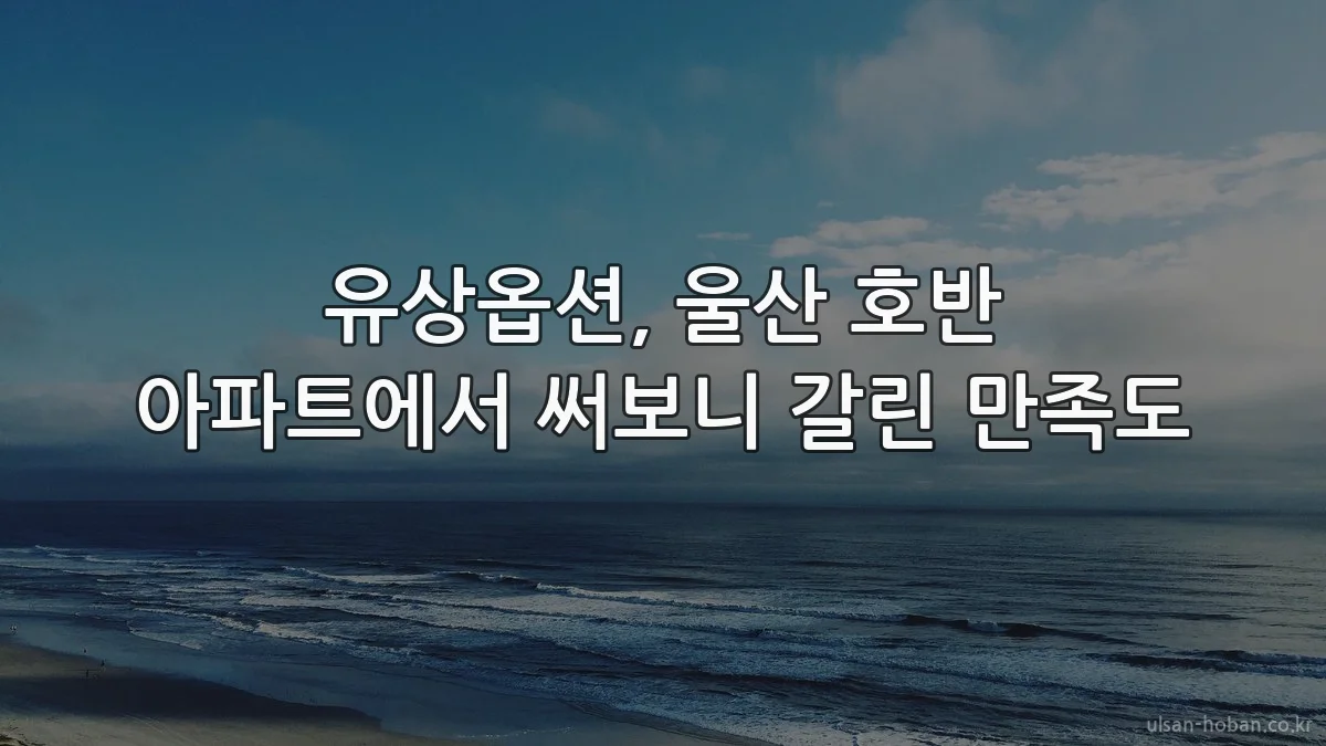 유상옵션, 울산 호반 아파트에서 써보니 갈린 만족도