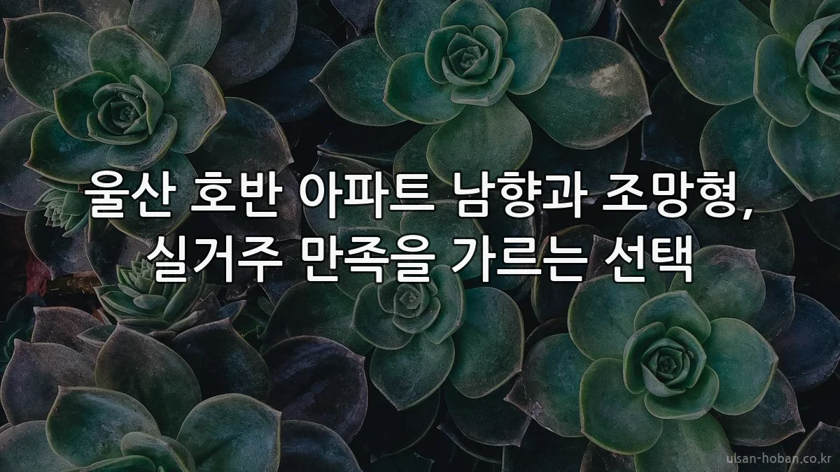 울산 호반 아파트 남향과 조망형, 실거주 만족을 가르는 선택
