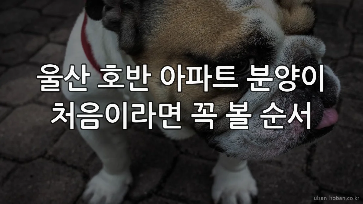 울산 호반 아파트 분양이 처음이라면 꼭 볼 순서
