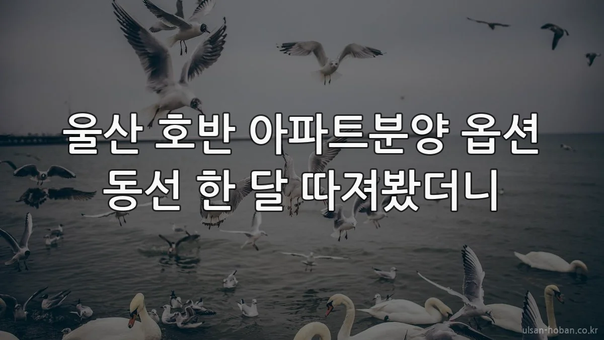 울산 호반 아파트분양 옵션 동선 한 달 따져봤더니