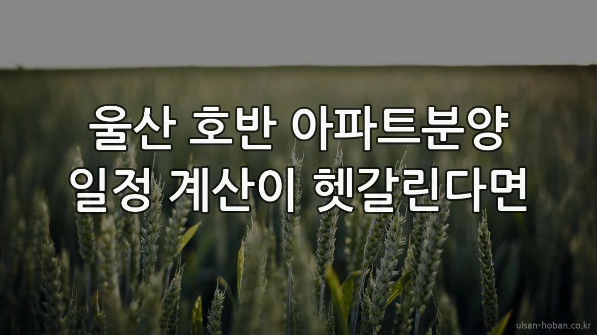 울산 호반 아파트분양 일정 계산이 헷갈린다면