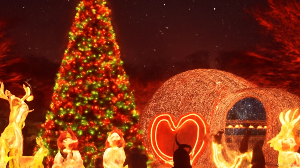 선암호수공원 겨울밤 빛의 향연