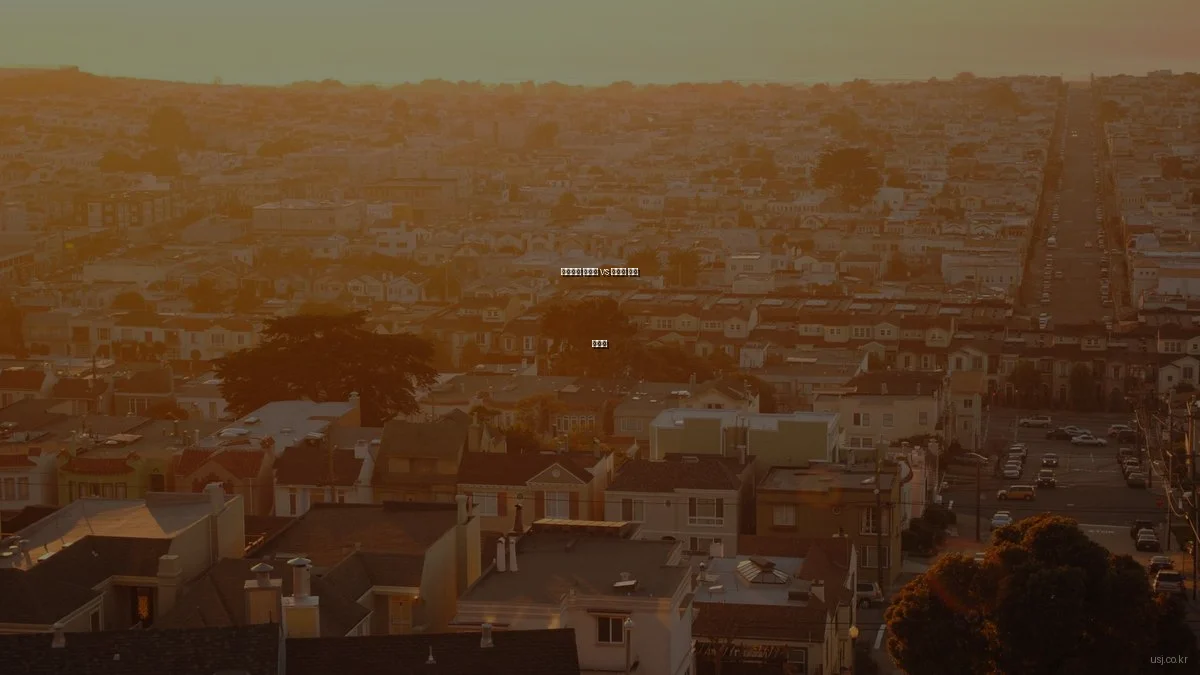 비즈니스 솔루션 vs 서비스 선택 가이드