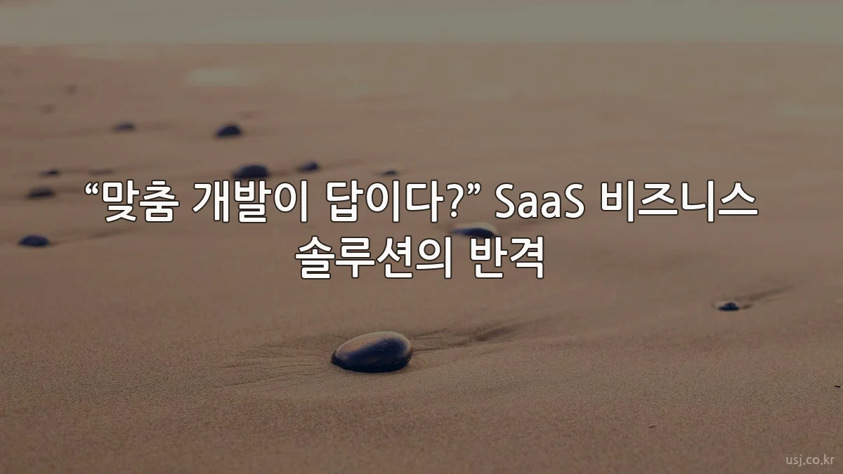 “맞춤 개발이 답이다?” SaaS 비즈니스 솔루션의 반격