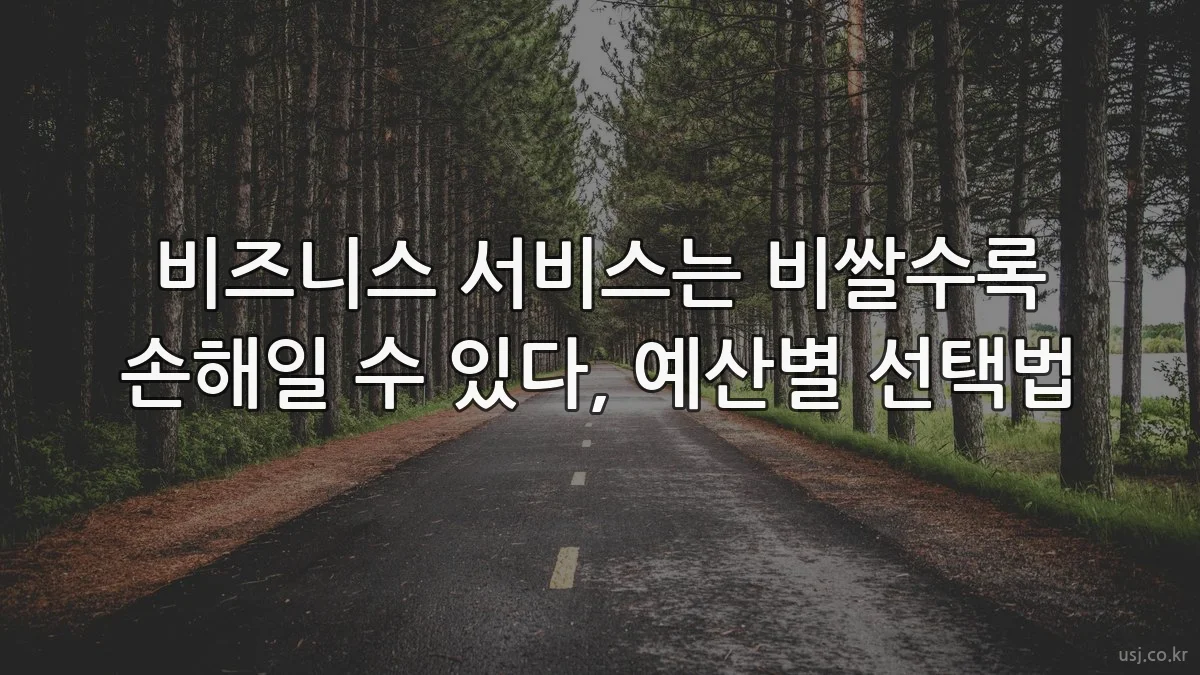 비즈니스 서비스는 비쌀수록 손해일 수 있다, 예산별 선택법
