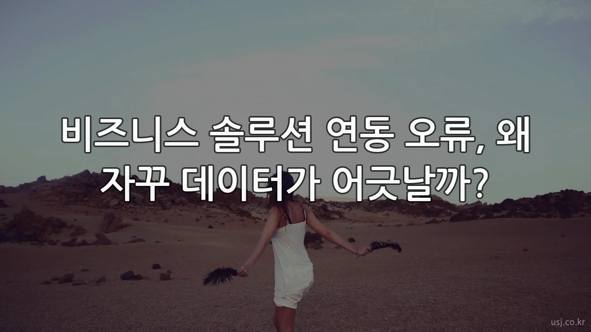 비즈니스 솔루션 연동 오류, 왜 자꾸 데이터가 어긋날까?
