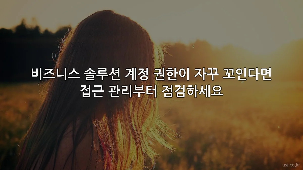 비즈니스 솔루션 계정 권한이 자꾸 꼬인다면 접근 관리부터 점검하세요
