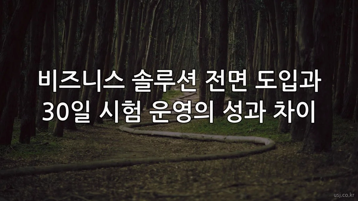 비즈니스 솔루션 전면 도입과 30일 시험 운영의 성과 차이