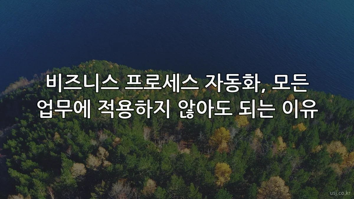 비즈니스 프로세스 자동화, 모든 업무에 적용하지 않아도 되는 이유