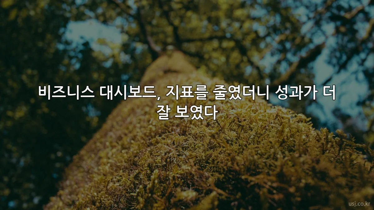 비즈니스 대시보드, 지표를 줄였더니 성과가 더 잘 보였다