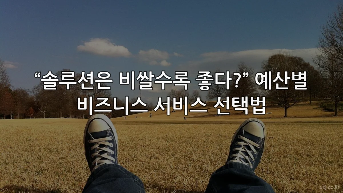 “솔루션은 비쌀수록 좋다?” 예산별 비즈니스 서비스 선택법