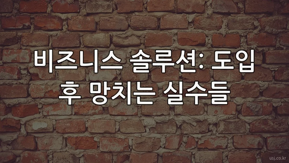 비즈니스 솔루션: 도입 후 망치는 실수들