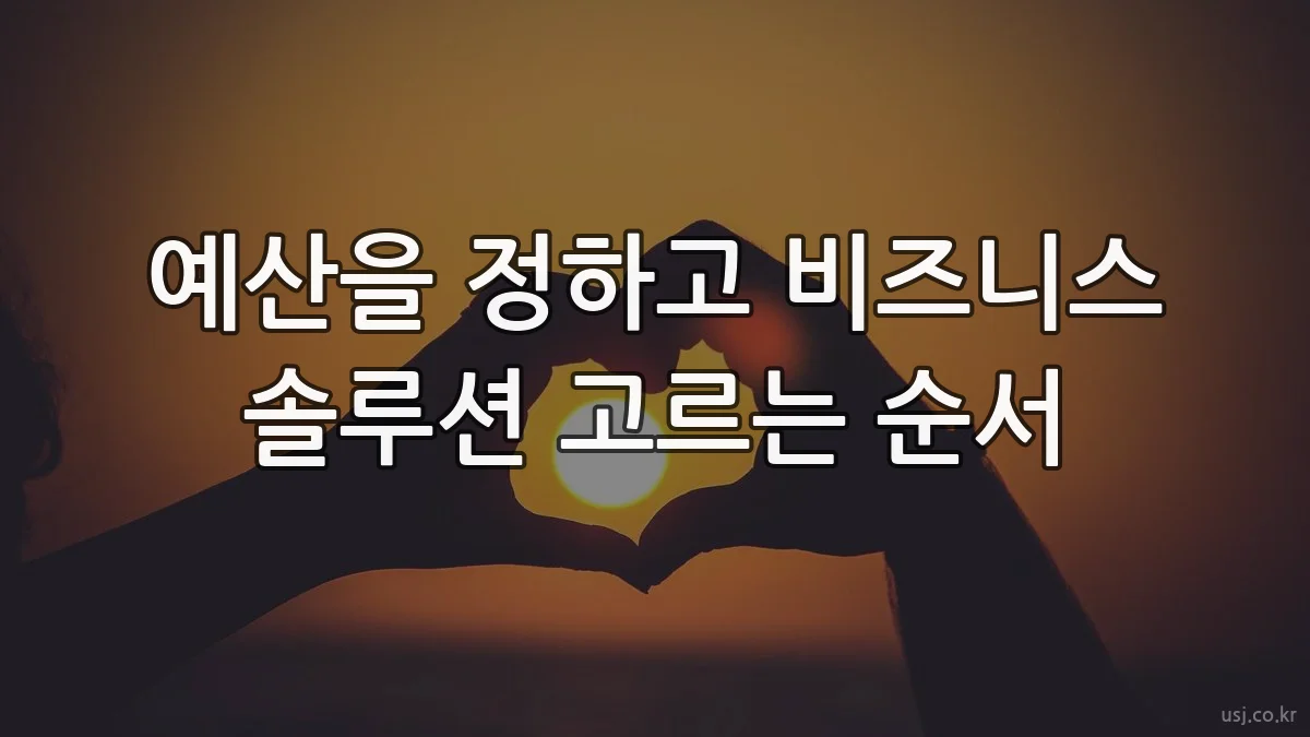 예산을 정하고 비즈니스 솔루션 고르는 순서