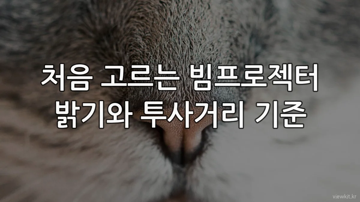 처음 고르는 빔프로젝터 밝기와 투사거리 기준