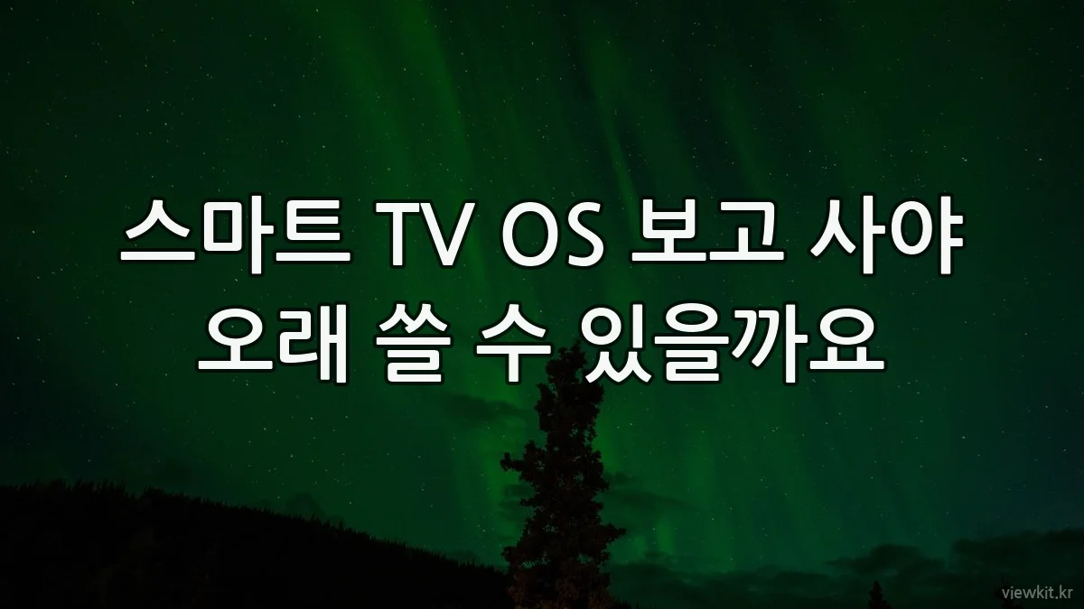 스마트 TV OS 보고 사야 오래 쓸 수 있을까요