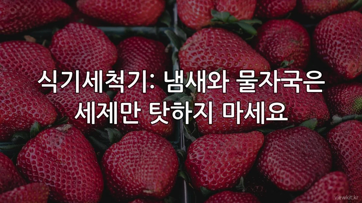 식기세척기: 냄새와 물자국은 세제만 탓하지 마세요