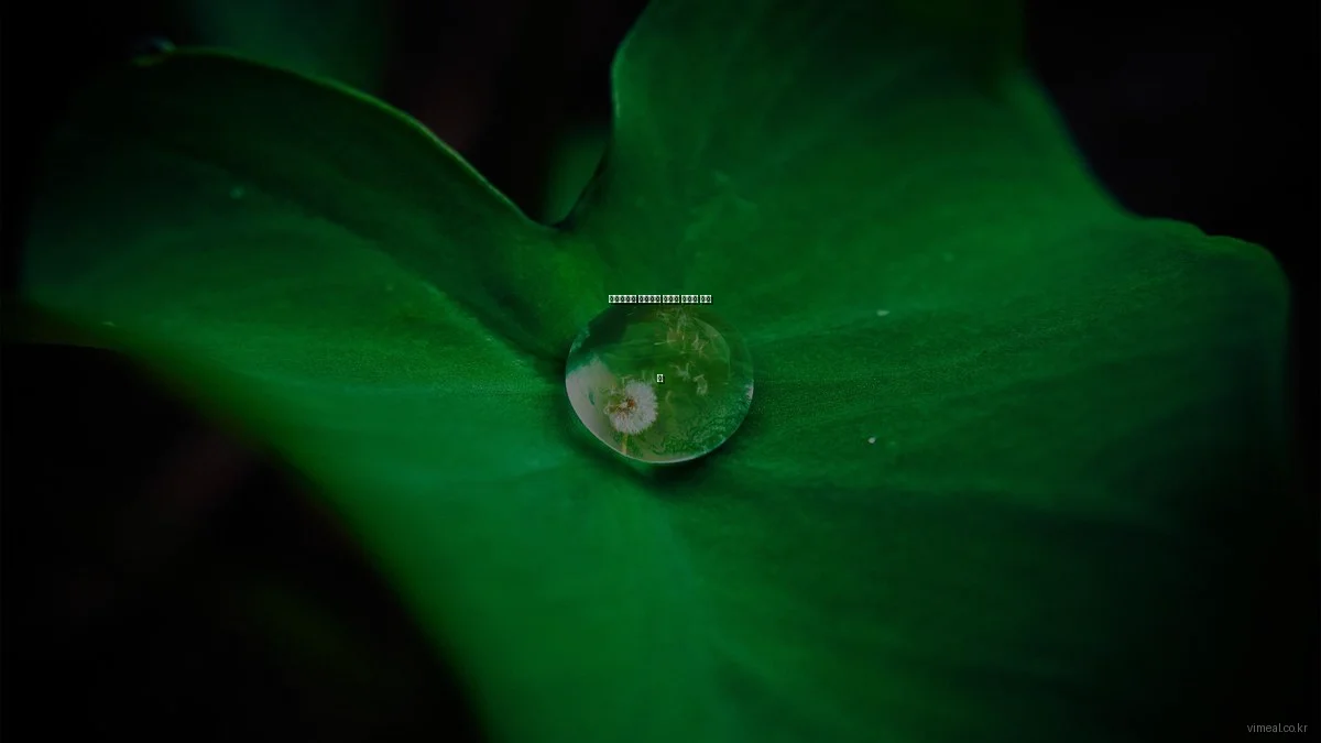 밀프렙으로 유지하는 건강한 식단의 모든 것