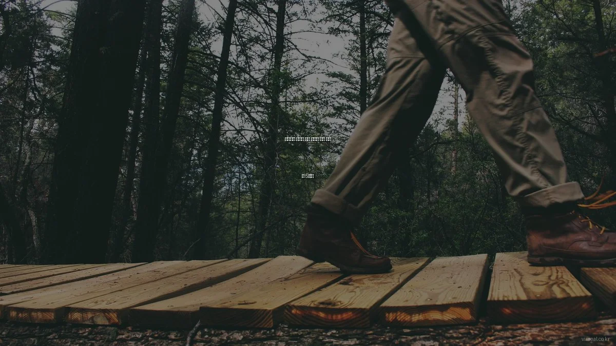 다이어트 성공을 위한 밀프렙 생활 해킹 팁 5가지