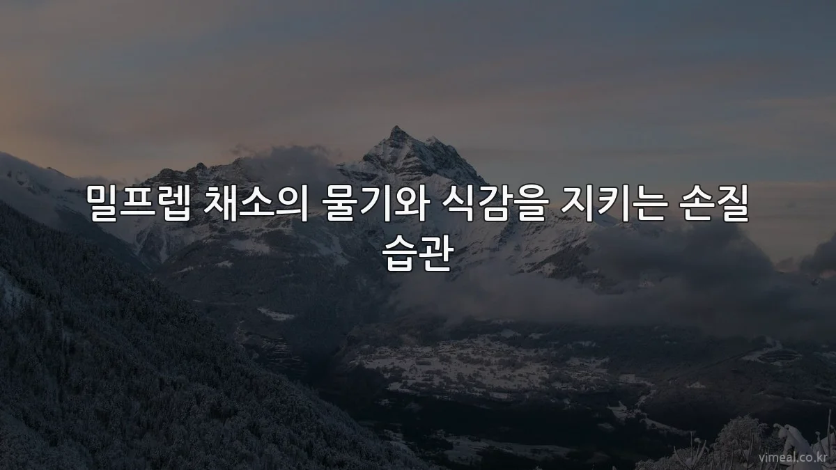 밀프렙 채소의 물기와 식감을 지키는 손질 습관