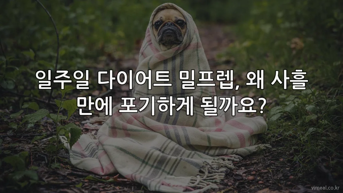 일주일 다이어트 밀프렙, 왜 사흘 만에 포기하게 될까요?
