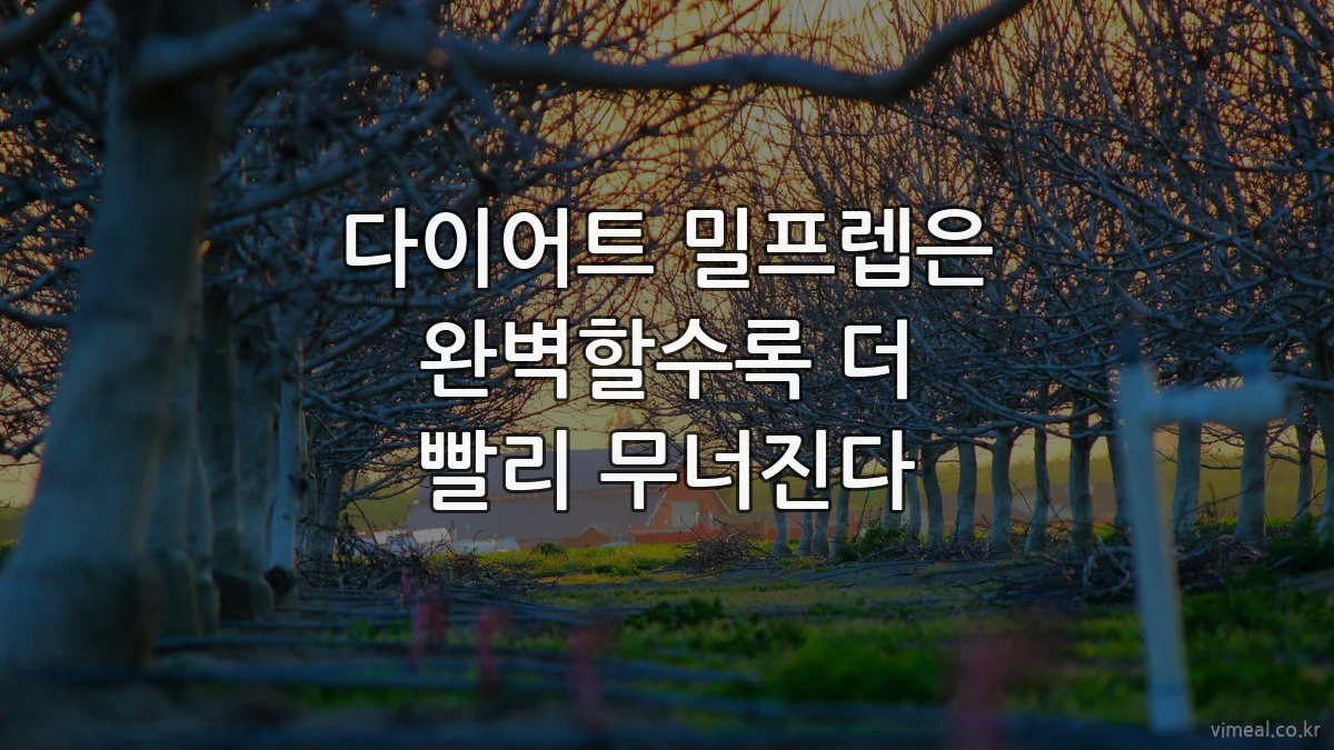 다이어트 밀프렙은 완벽할수록 더 빨리 무너진다