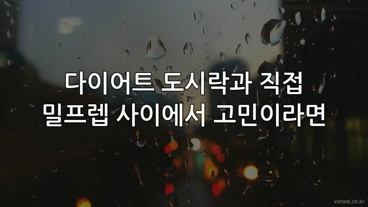 다이어트 도시락과 직접 밀프렙 사이에서 고민이라면