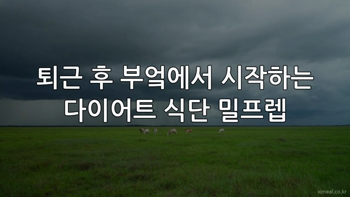 퇴근 후 부엌에서 시작하는 다이어트 식단 밀프렙