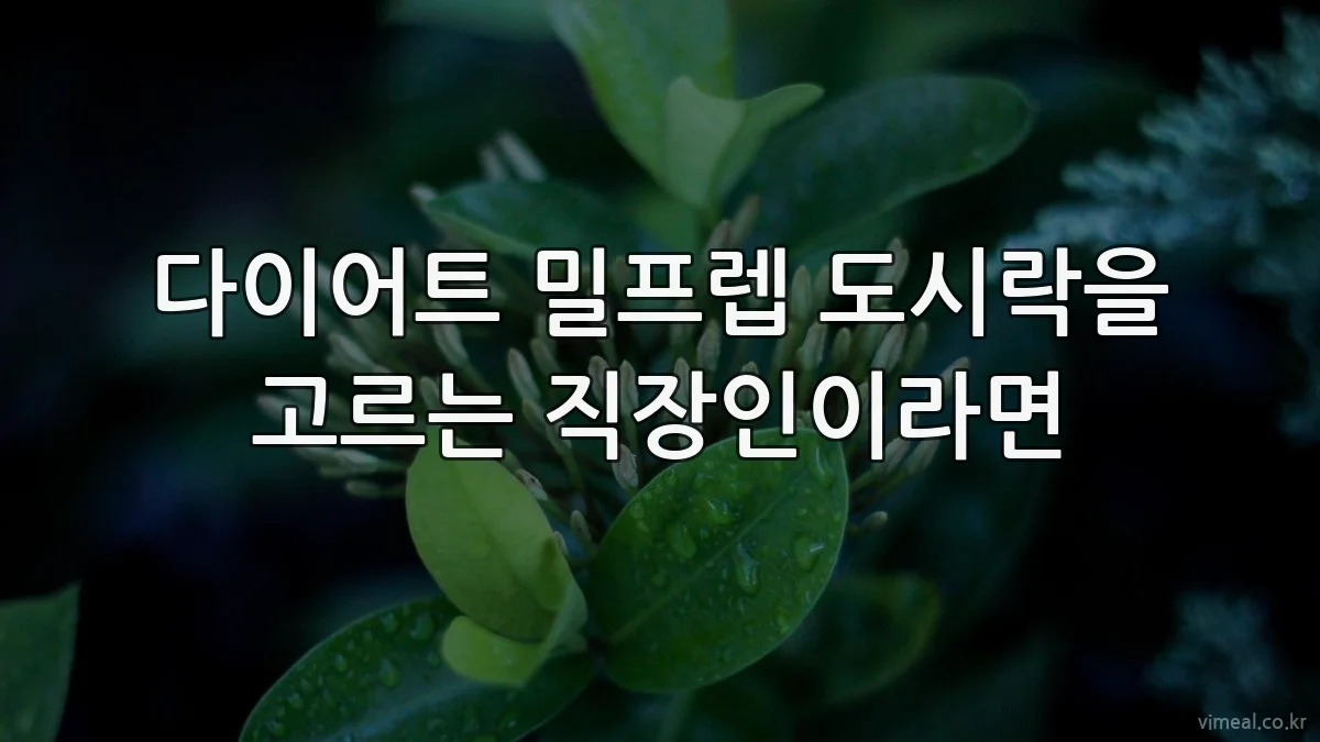 다이어트 밀프렙 도시락을 고르는 직장인이라면