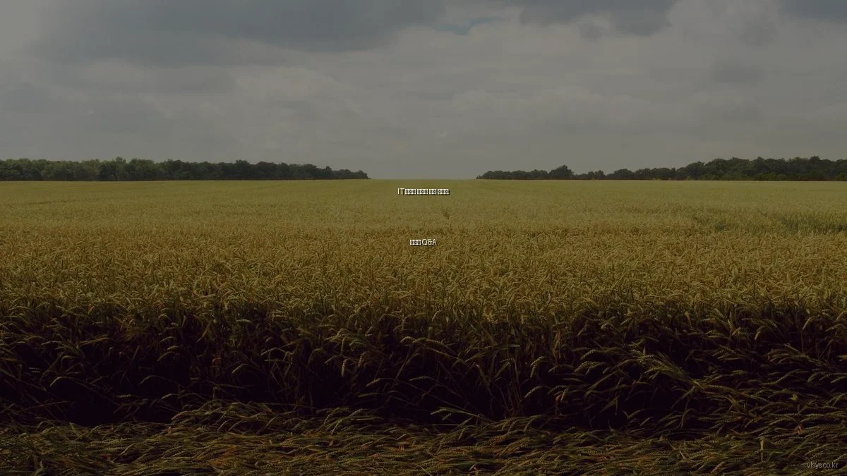 IT 시스템 구축의 숨은 트렌드: 전문가 Q&A