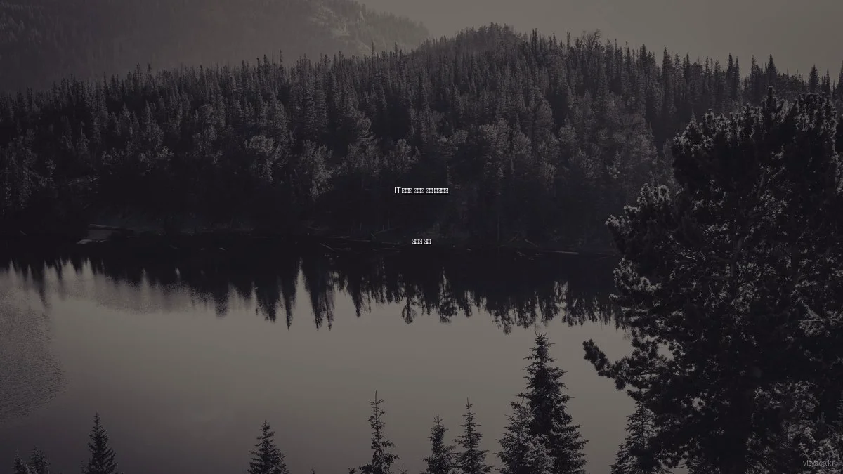 IT 인프라 구축의 최신 트렌드와 전문가 조언