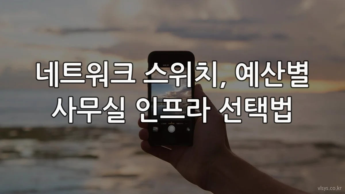 네트워크 스위치, 예산별 사무실 인프라 선택법