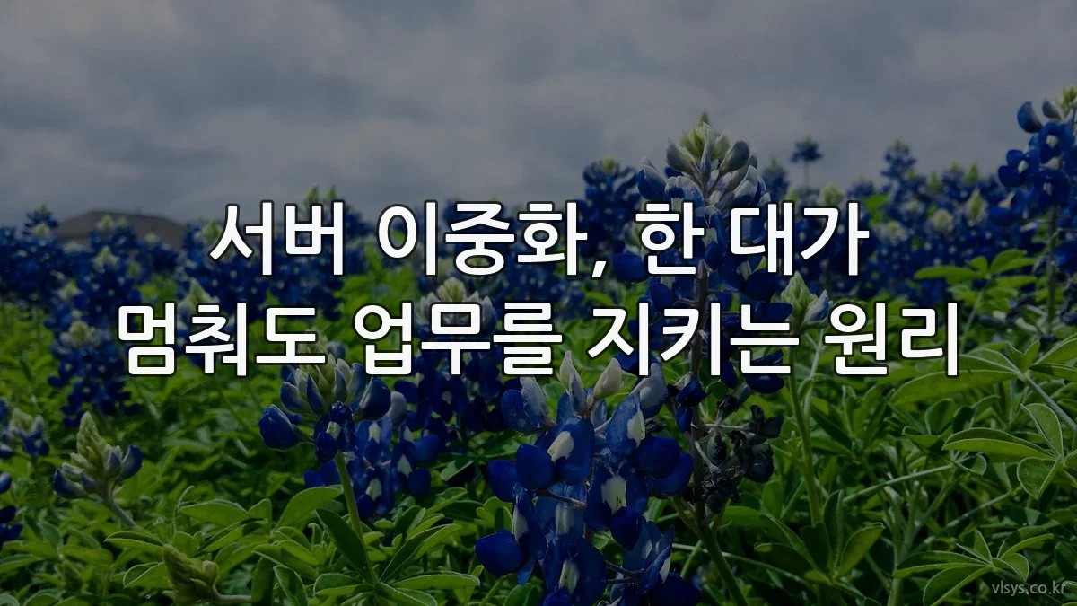서버 이중화, 한 대가 멈춰도 업무를 지키는 원리