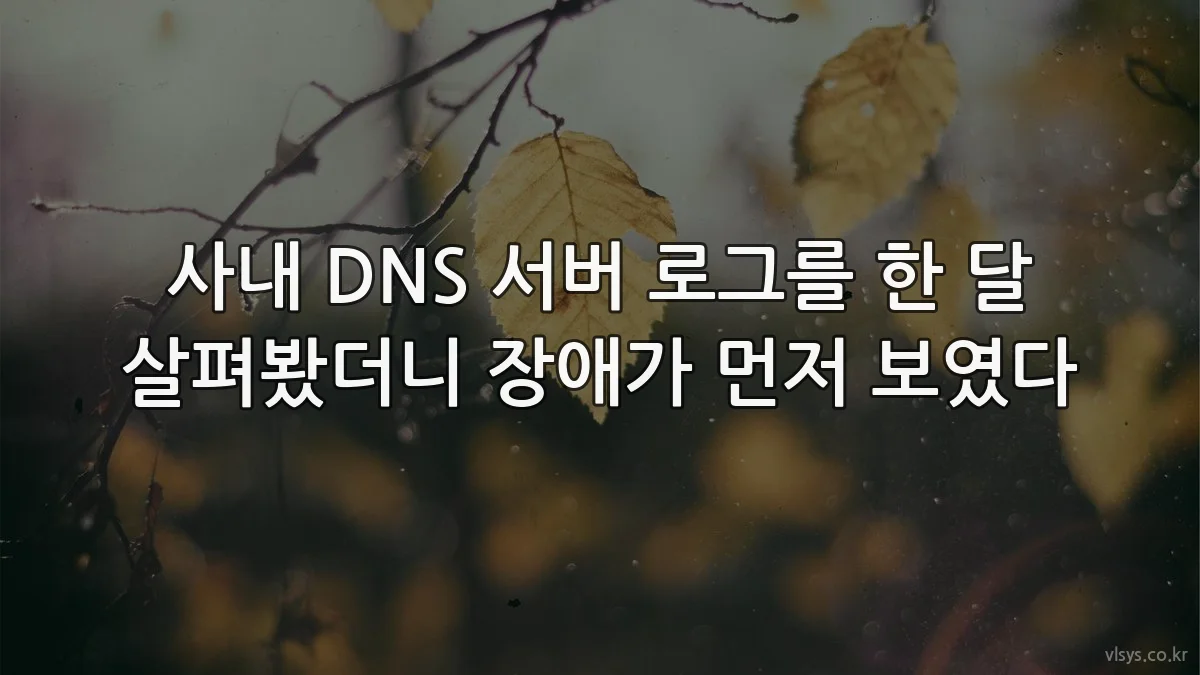 사내 DNS 서버 로그를 한 달 살펴봤더니 장애가 먼저 보였다