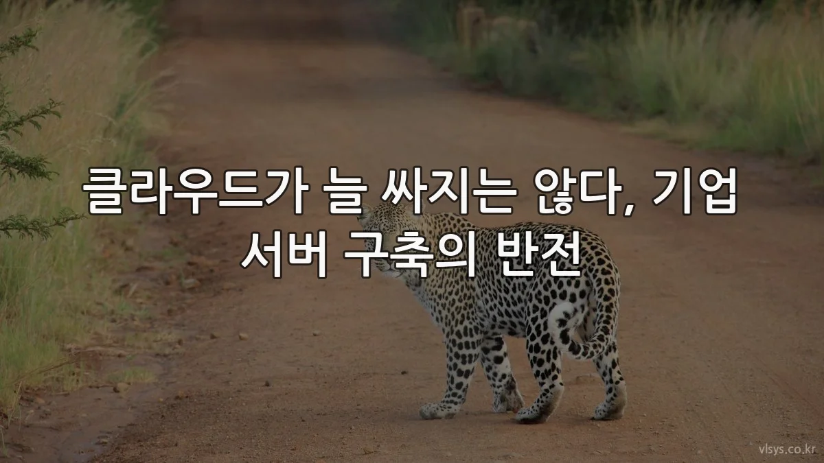 클라우드가 늘 싸지는 않다, 기업 서버 구축의 반전