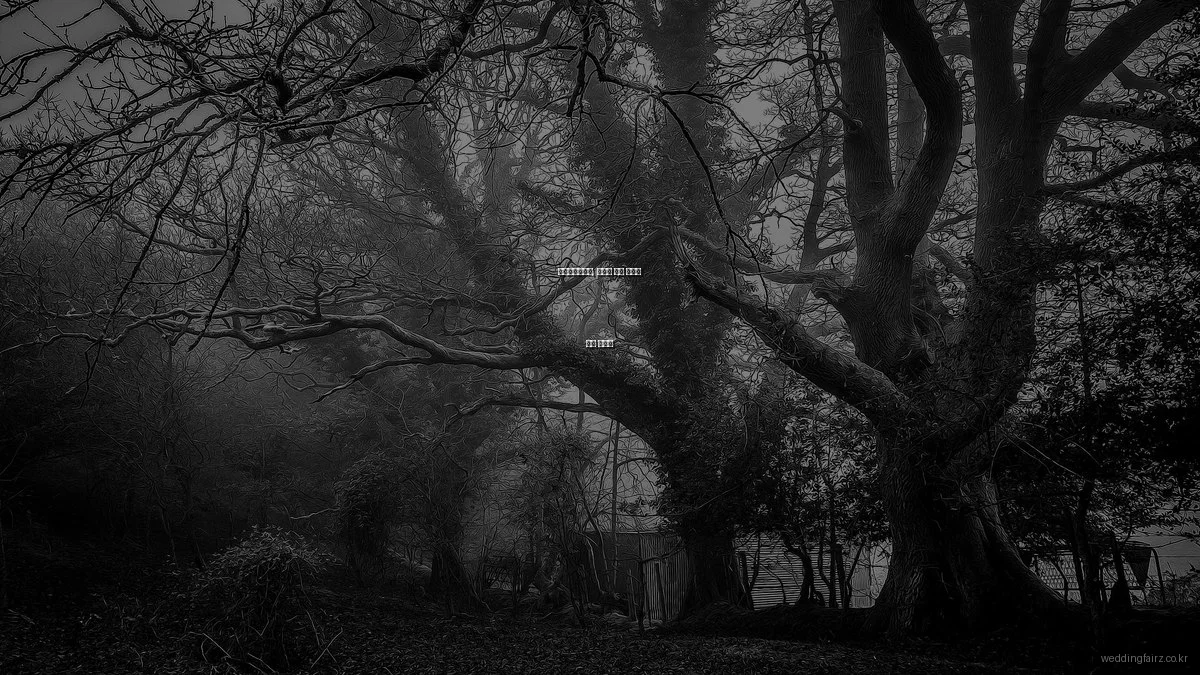 서울웨딩박람회, 예산별 웨딩 아이템 추천 리스트