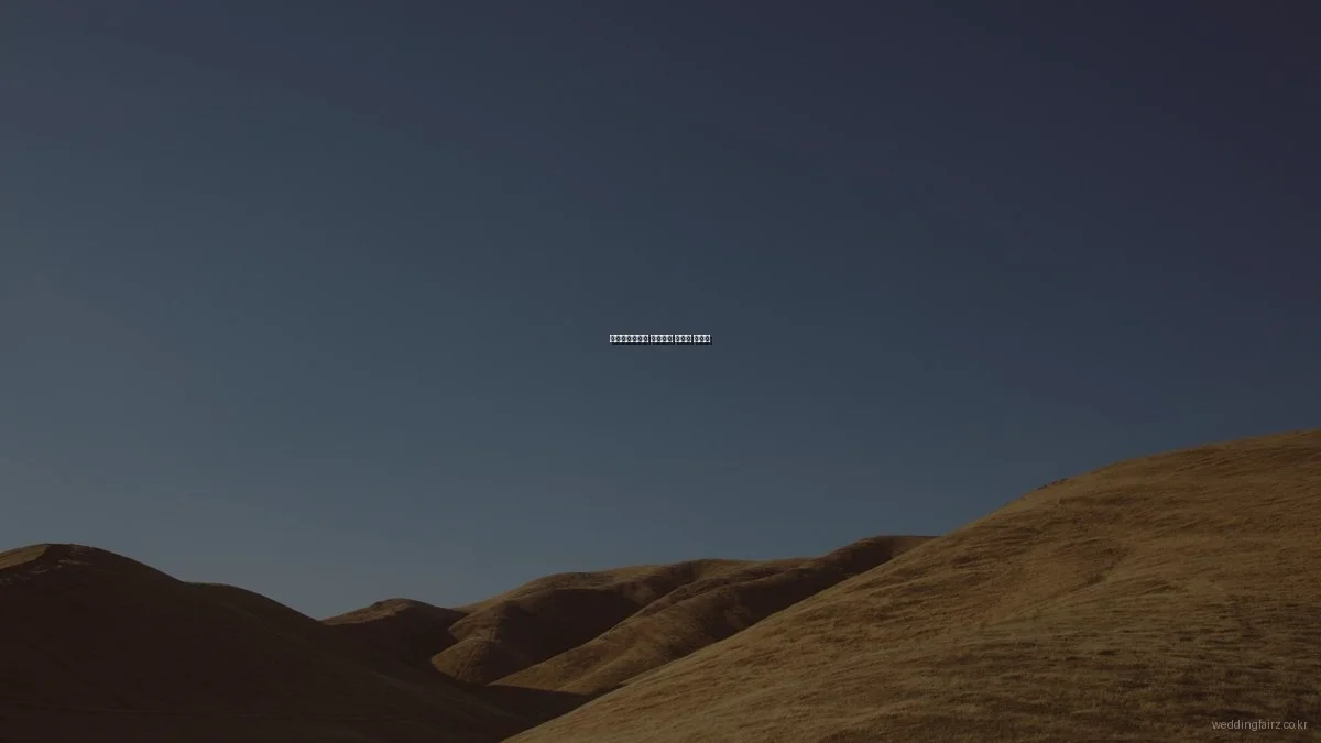 서울웨딩박람회 신혼여행 박람회 체험기