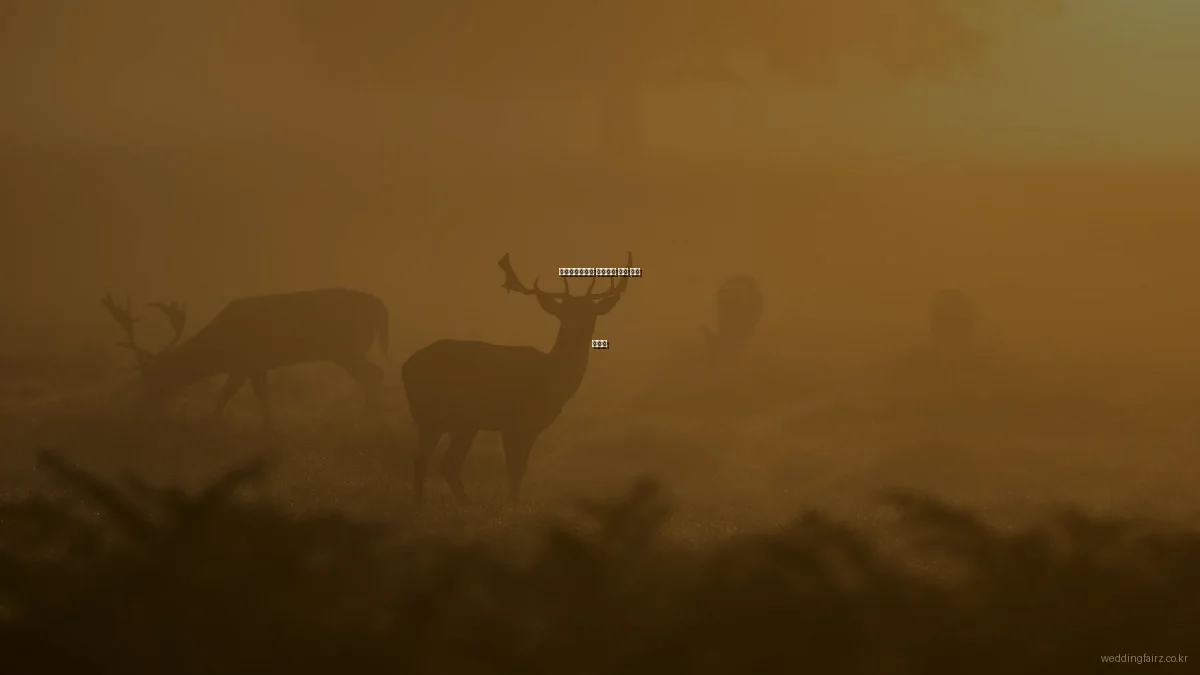 서울웨딩박람회 효과적인 입장 준비 가이드