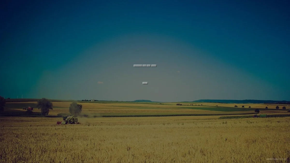 서울웨딩박람회 초보자 가이드: 시작부터 완벽하게