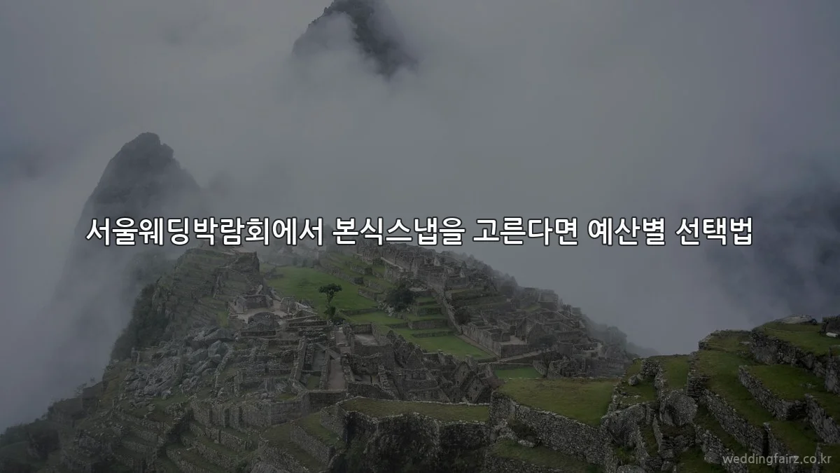 서울웨딩박람회에서 본식스냅을 고른다면 예산별 선택법