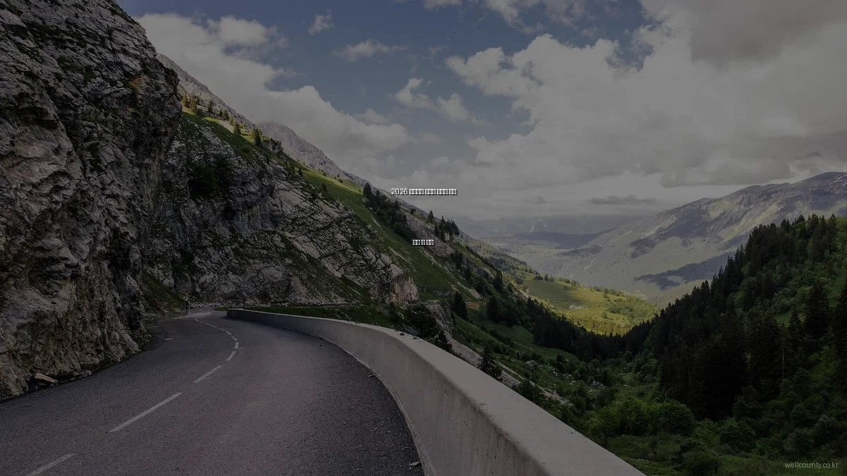 2026 웰카운티 아파트 타입별 비교 분석 및 추천