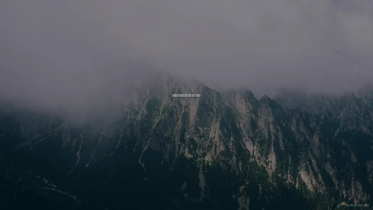 웰카운티 아파트 분양 실수 방지 가이드