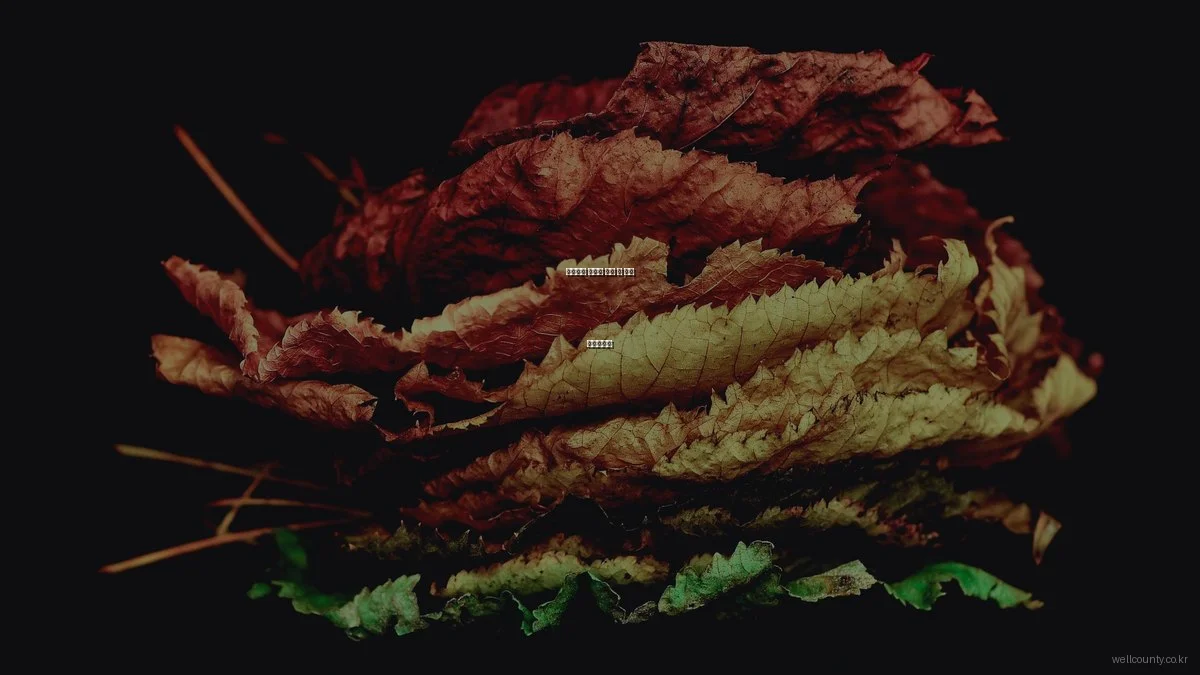 웰카운티 아파트 분양 전 필수 체크리스트