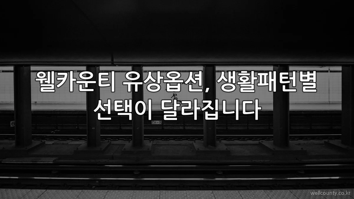 웰카운티 유상옵션, 생활패턴별 선택이 달라집니다