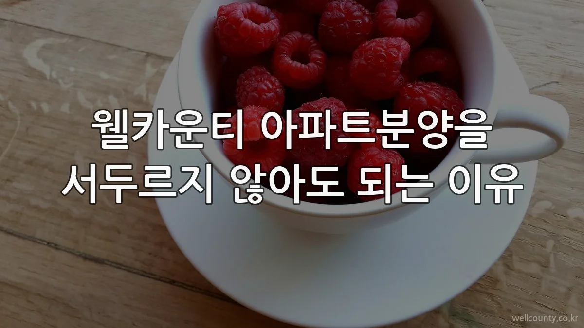 웰카운티 아파트분양을 서두르지 않아도 되는 이유